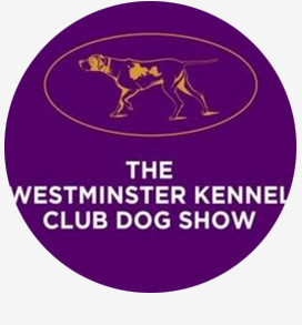 The Westminster Kennel Club Dog Show